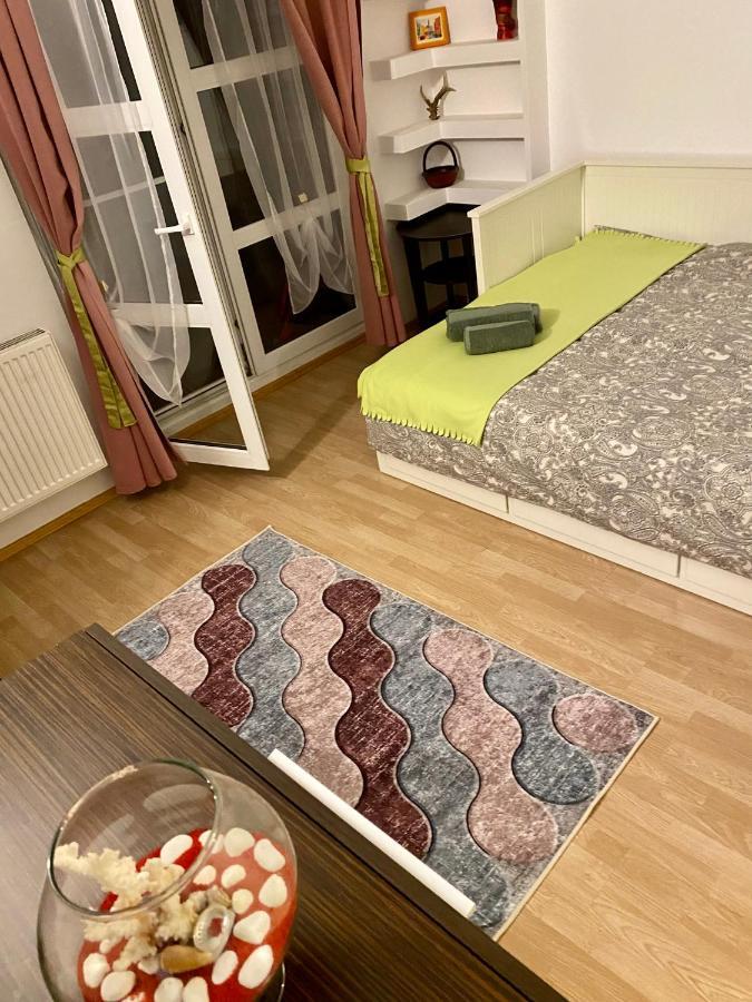 Apartament Raluca - Self Check-In Temesvár Kültér fotó