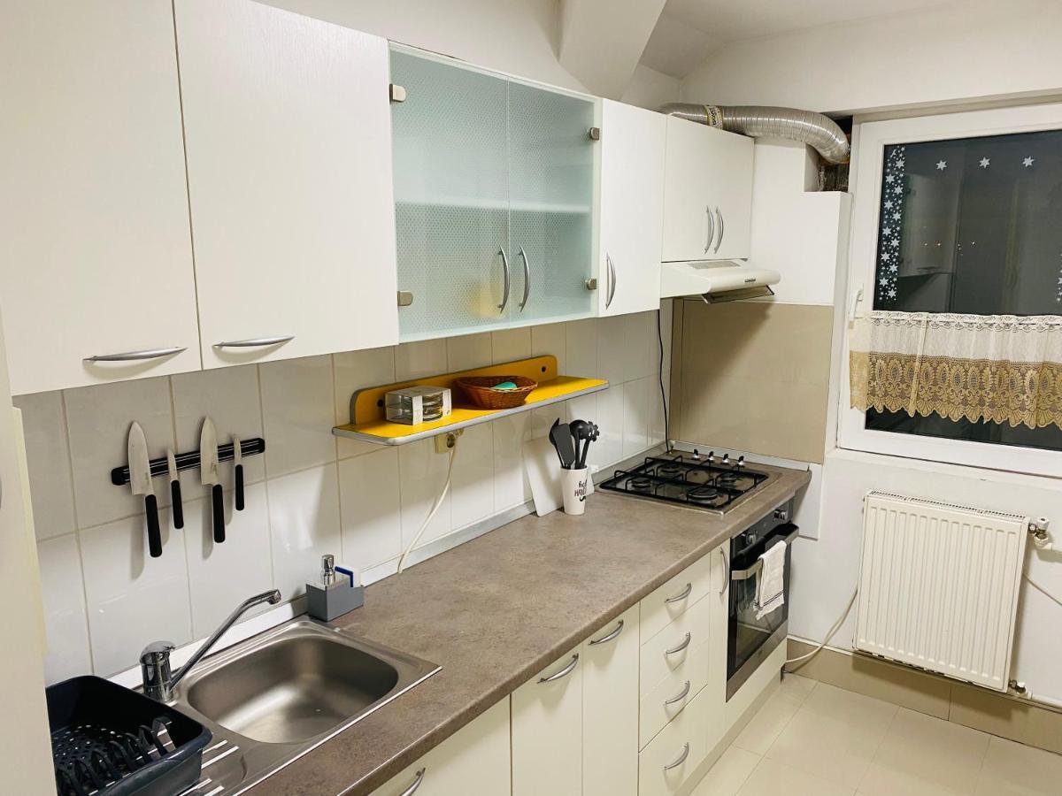 Apartament Raluca - Self Check-In Temesvár Kültér fotó