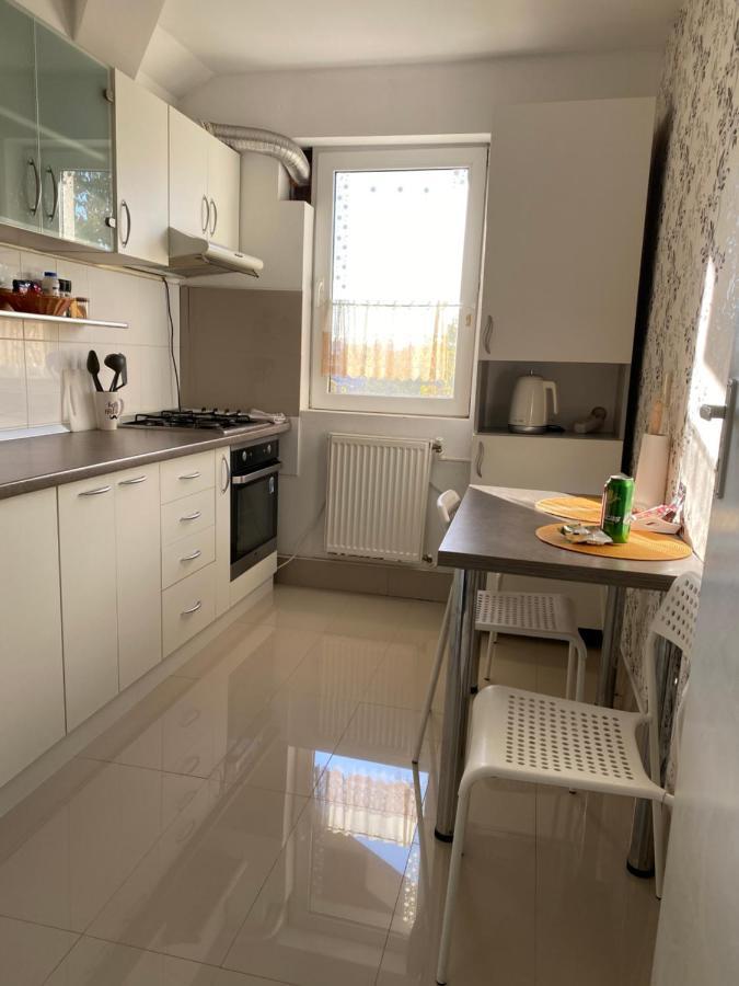 Apartament Raluca - Self Check-In Temesvár Kültér fotó